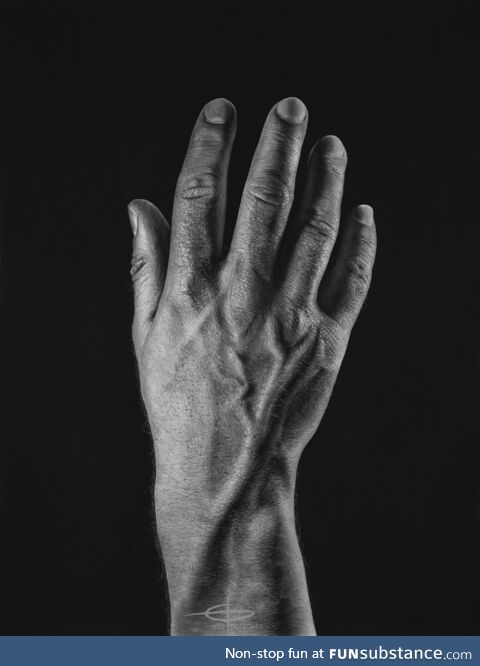 This is my latest pencil drawing – by far the most challenging thing I've ever done