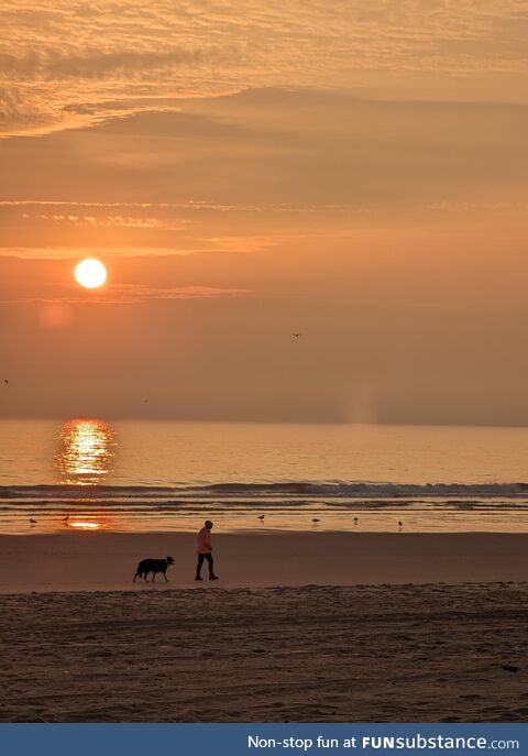 Early morning dog walk, beautiful sunrise