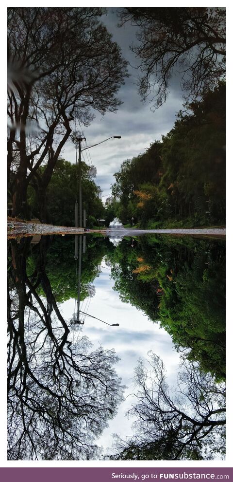 Puddle picture :)