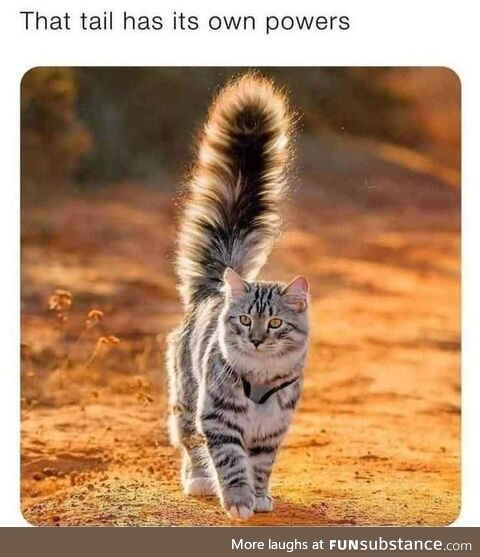 Look at it