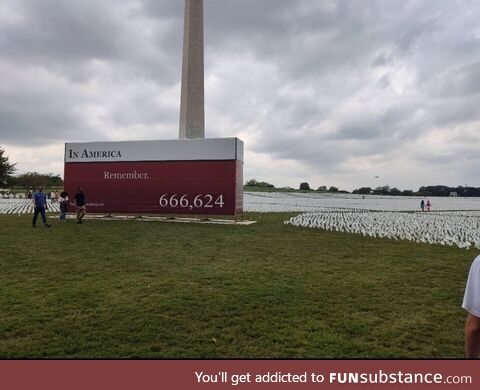 666,624 flags at the Washington monument, representing every COVID-19 death in the United