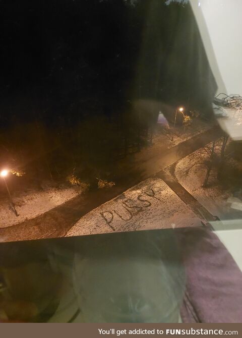 Started snowing today. Just looked outta my window and then this is what I saw