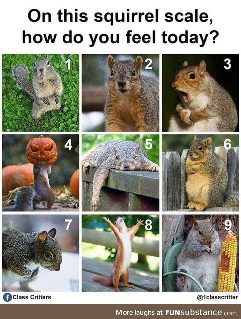 I’m going 5 ya’ll