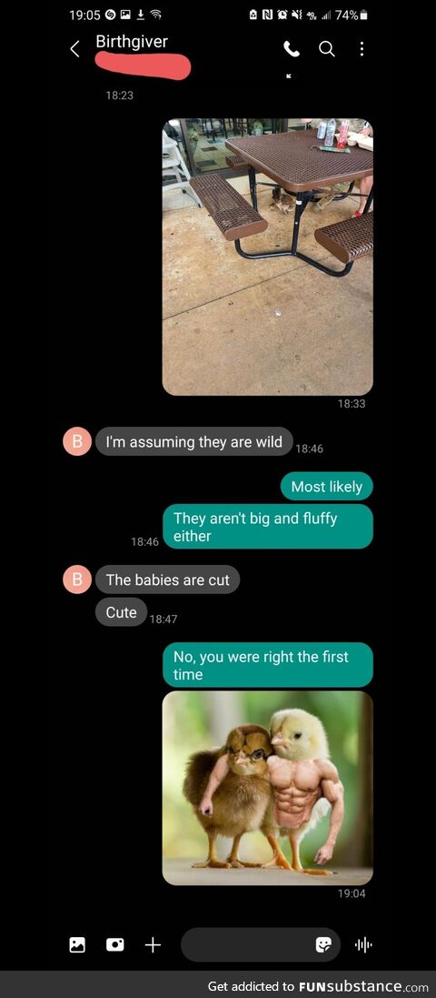 Conversations with my mother