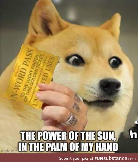 Doge no