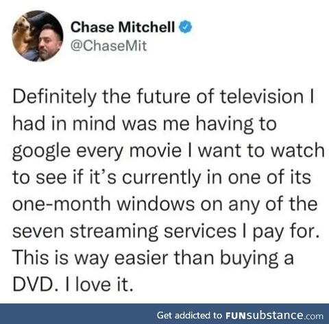 The future is stupid