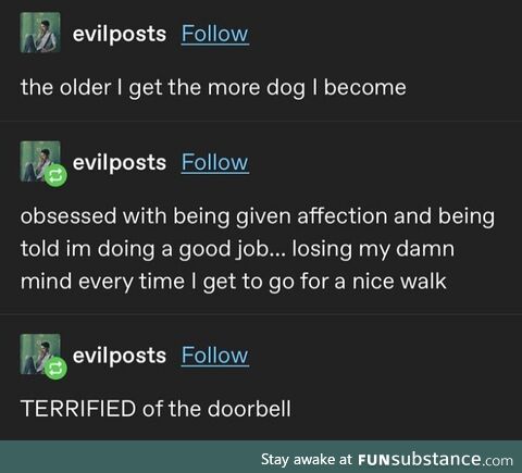 Doggo