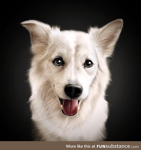 I recently drew this beautiful dog