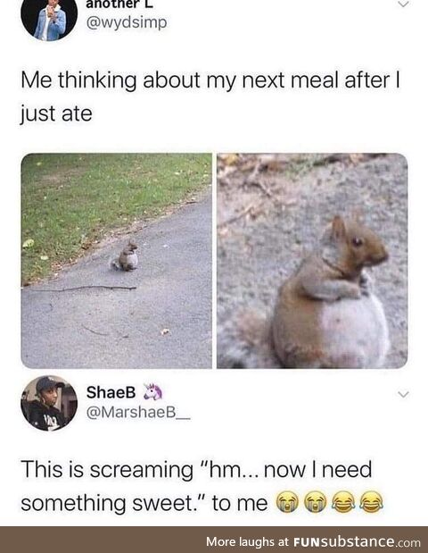 Chonky