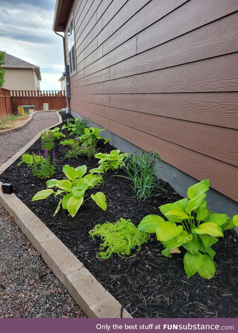 [OC] Social anxiety has prevented me from working on my yard for 3 years. This week I