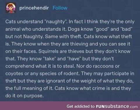 Be Cat! Do Crime!