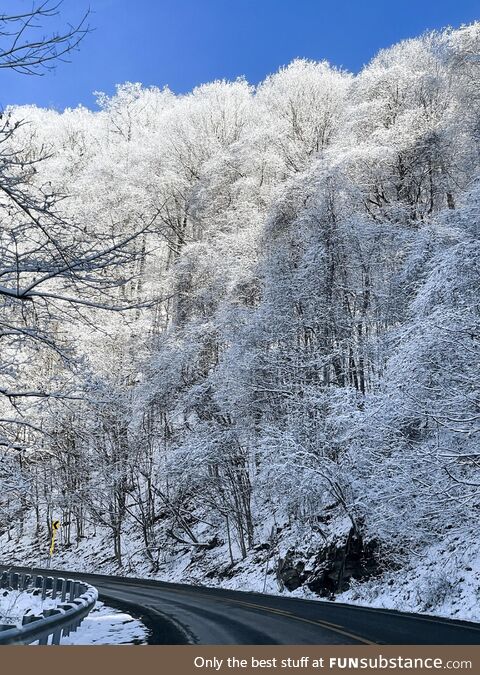 Snow slowly melting under the bright sunlight