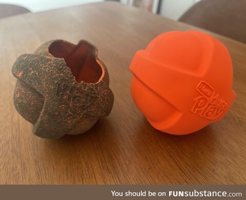 Replaced my dog’s favorite toy today