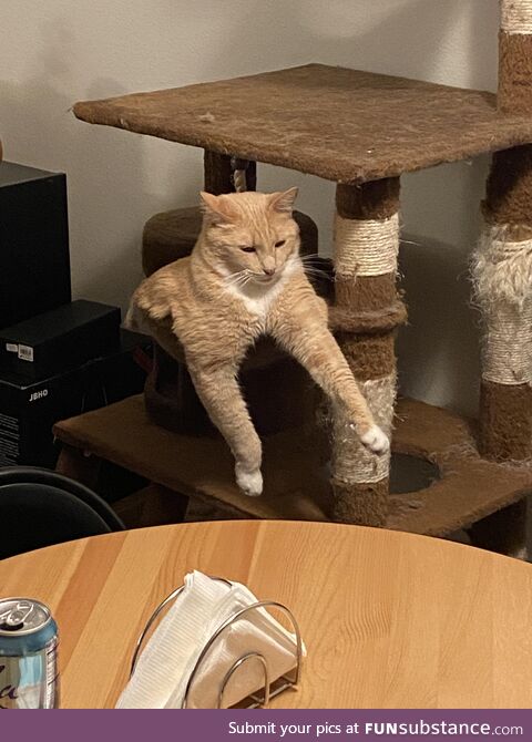 I think Cheddar is having a rough day