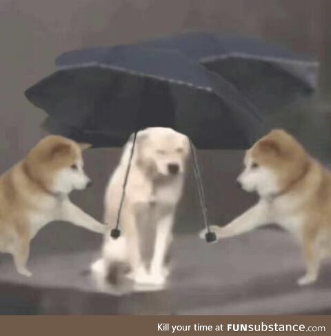 Use a picture to illustrate my mood at work