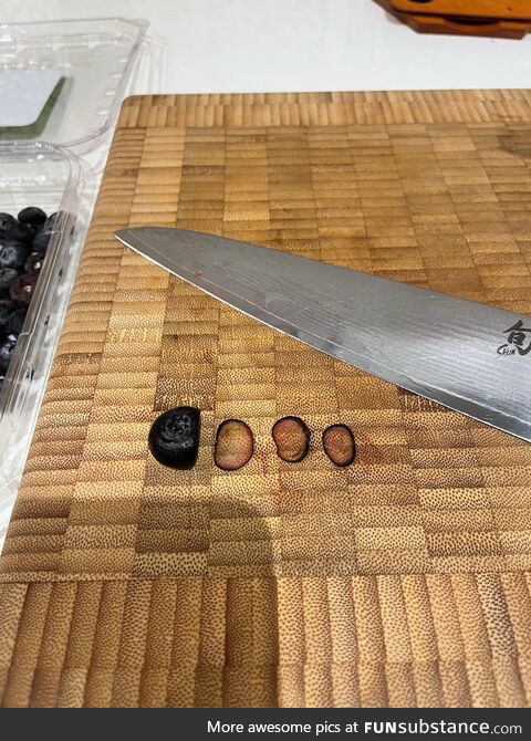 I hand sharpened my knife today