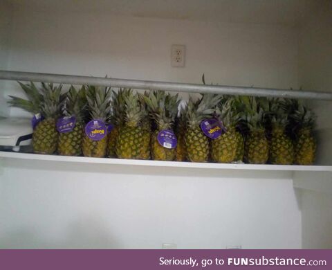 Take as many as you want they said. So I did. OH... Got-ta crap-ton o'pineapples in my