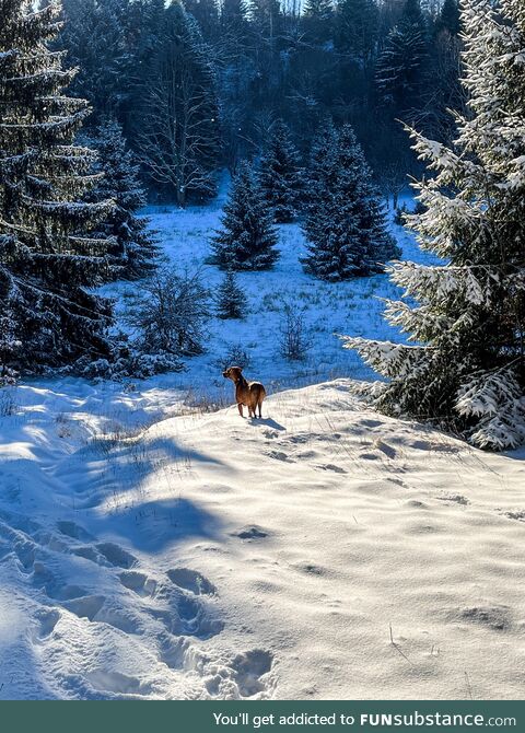 Winter wonderland in Croatia