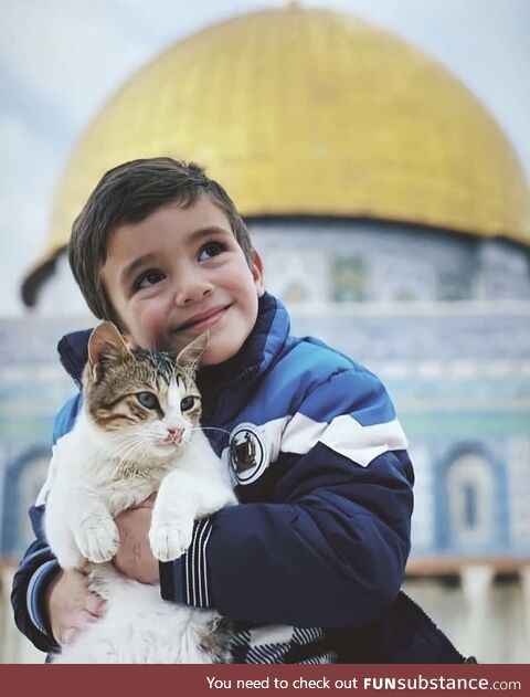 A Palestinian boy with his cat