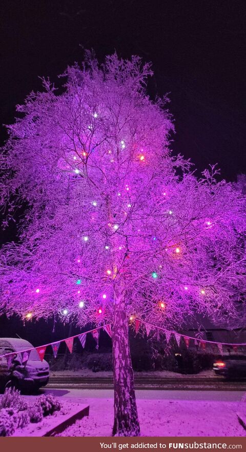This lit up tree covered in snow