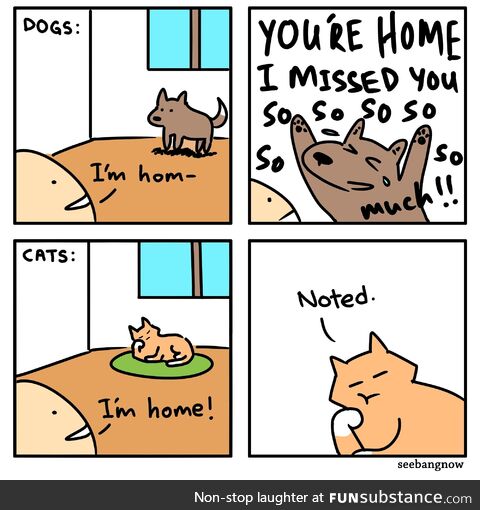 Coming home to pets