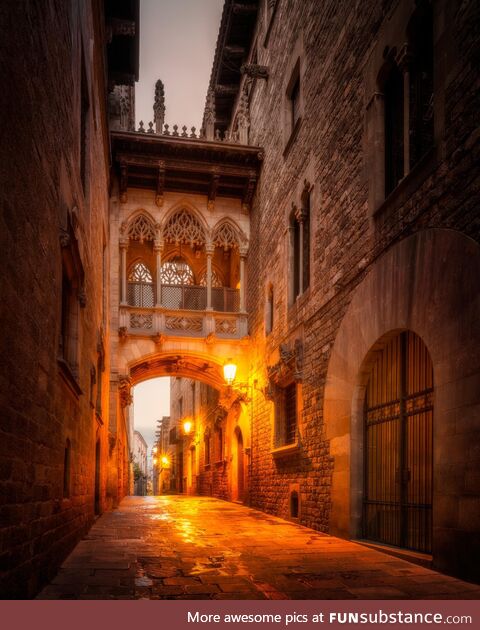Gothic Quarter  Barcelona - Pont del Bisbe