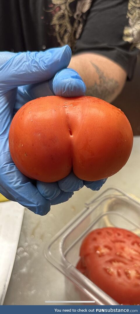 Actual tomato found at work today