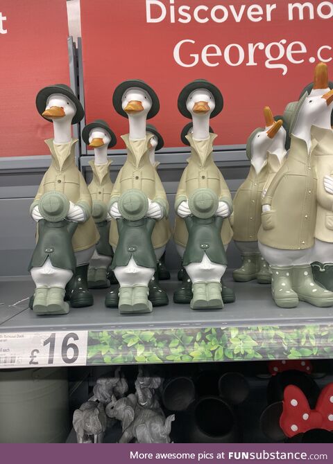 Not so sure about these garden ornaments