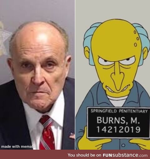 Mr burns