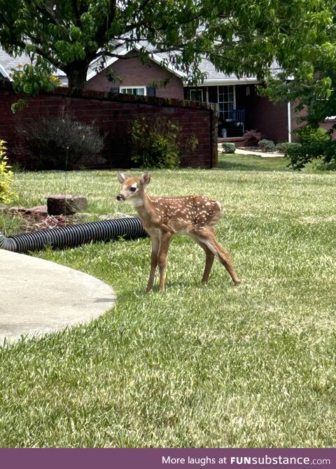 I have a visitor!