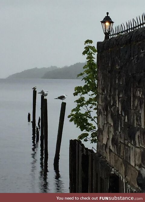 Loch lomond