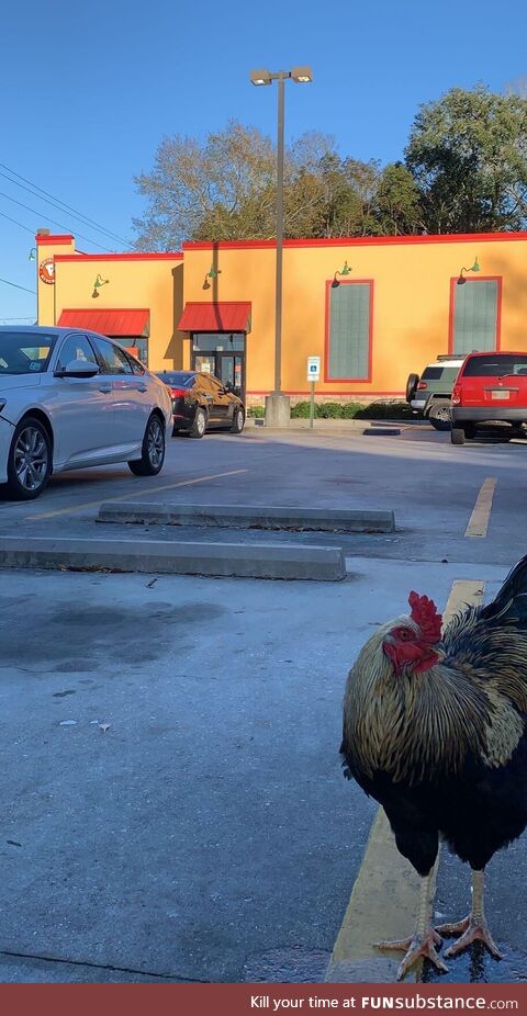 I’m trying to convince this fellow that he should probably not hang around here