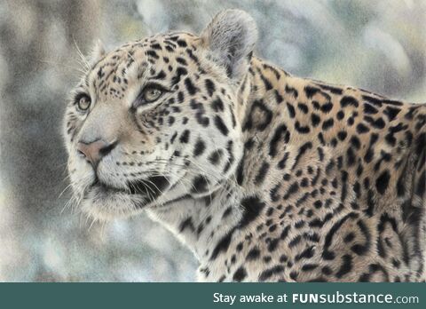 Colour pencil drawing of a jaguar, which I completed in 2019. Have a great day! [OC]
