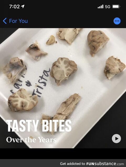 I love when my phone gives me grouped memories!