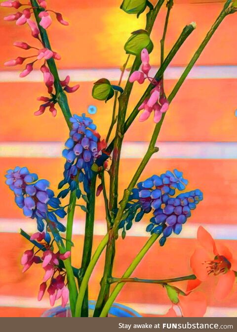 [OC] Spring flowers from the woods behind my house