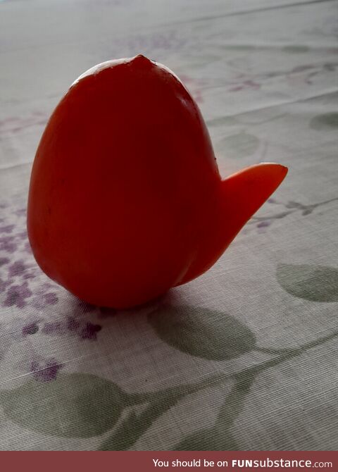 My tomato has a nose