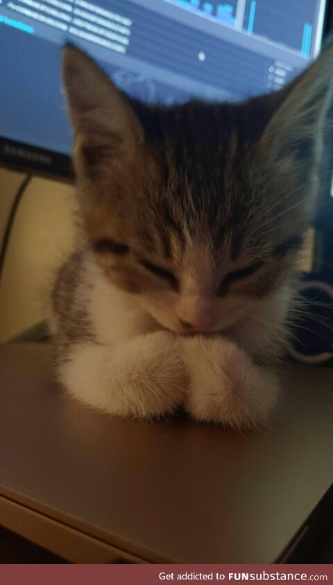 She loves my Macbook