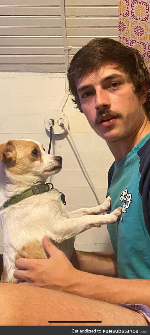 My gf sent me this and said "if only you would look at me like he looks at you......."