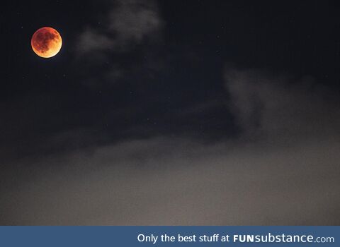 Clouds were nice enough to give me a small window to photograph the lunar eclipse (OC)