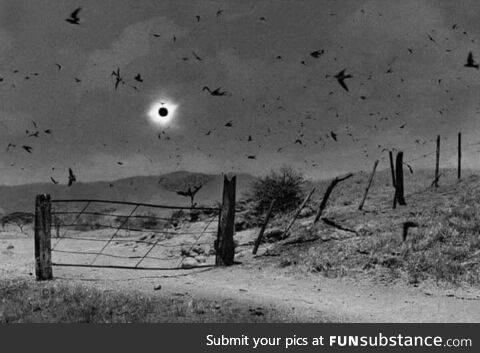 An image of the 1991 solar eclipse taken by photographer Antonio Turok in Chiapas, Mexico