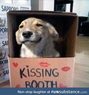 Kissing booth