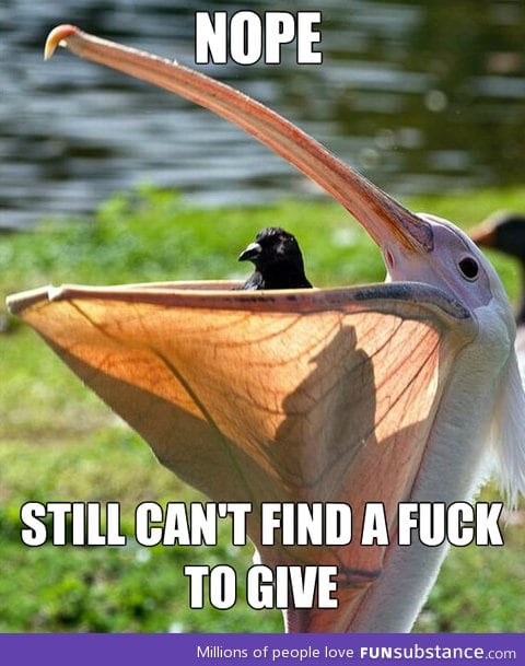 Can't find one in here