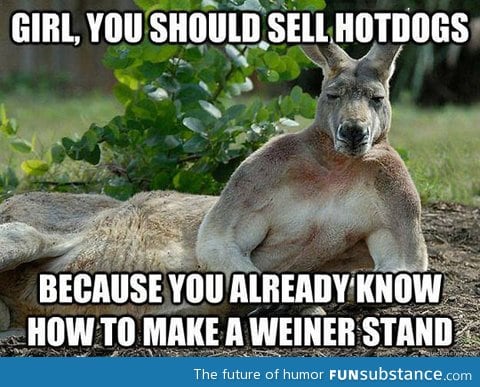 Kangaroo doesn't kid around
