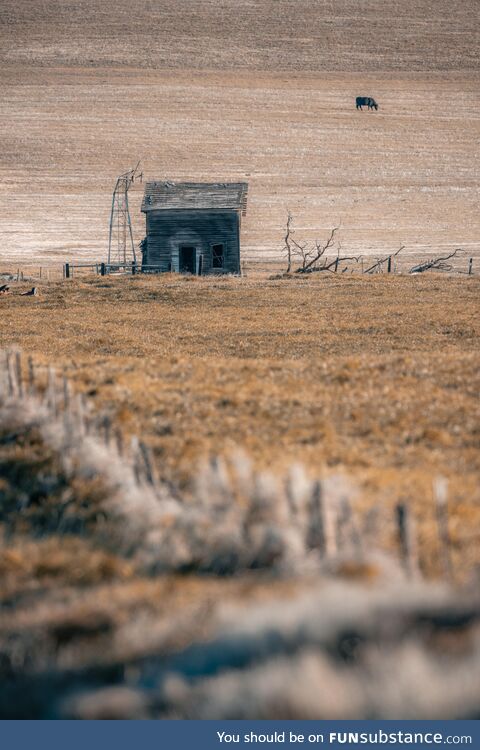 An abandoned farm house in Roosevelt WA. [OC]