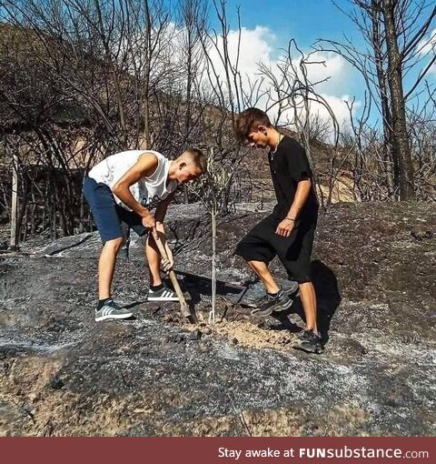 Greek teenagers planting an olive tree in the now burnt Olympia, Greece. Birthplace of