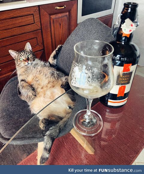 This is my cat Leo. He’s old enough to drink