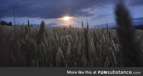[OC] The fields near my dad's home on a hike