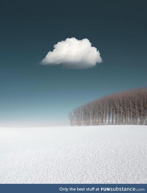 A strikingly sparse landscape