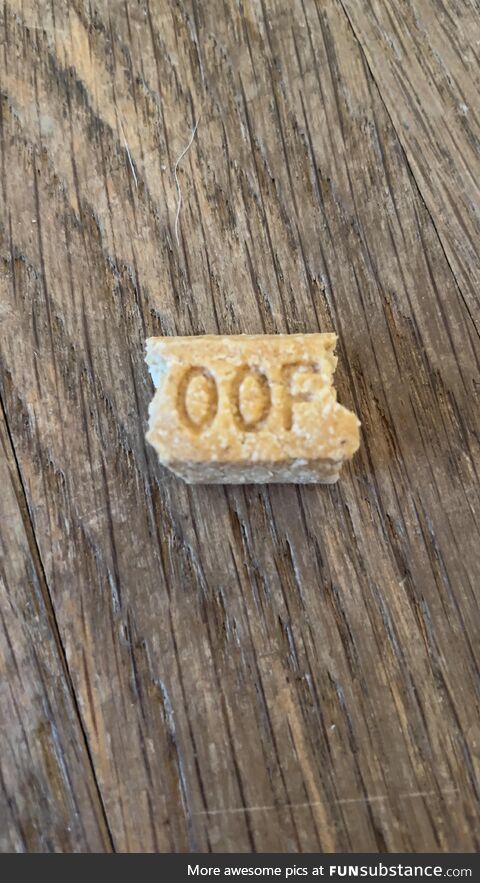 My parent’s dog didn’t finish his treat