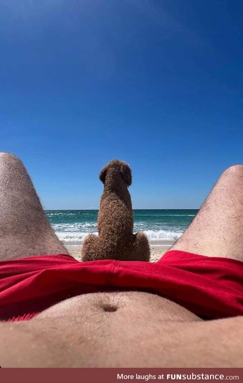 Nice holiday photo